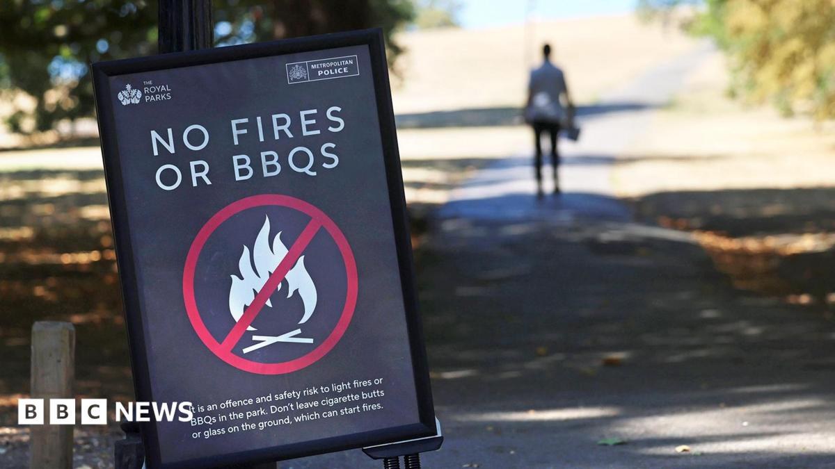 Temporary ban on sale of disposable BBQs over wildfire risk