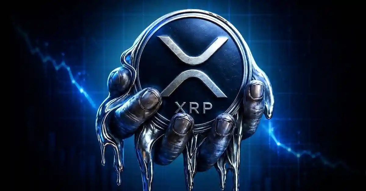 XRP Price Today – August 11th